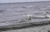 Keona sch&uuml;ttelt sich 